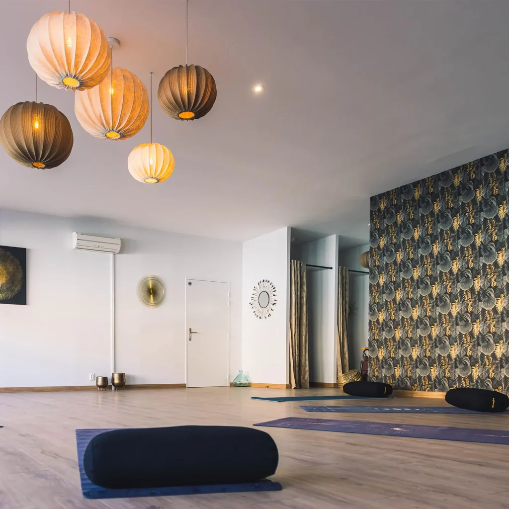 ibis d'argeles salle pratique yoga